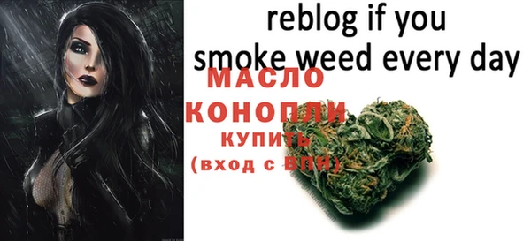 молекула духа Горнозаводск