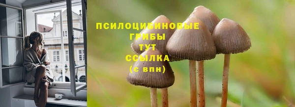 MESCALINE Горняк