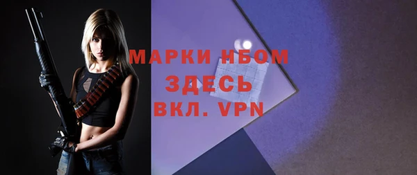 молекула духа Горнозаводск