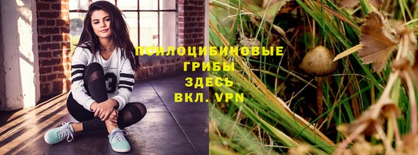 мет Горно-Алтайск