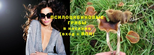 MESCALINE Горняк