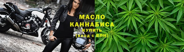 молекула духа Горнозаводск