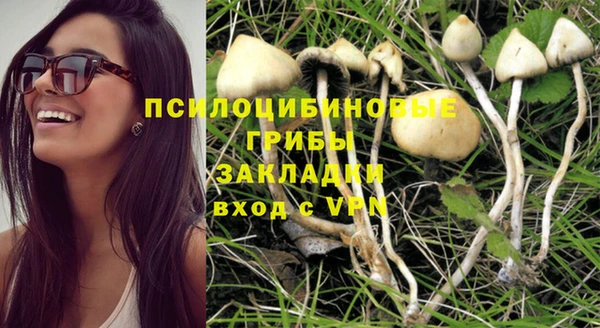 молекула духа Горнозаводск