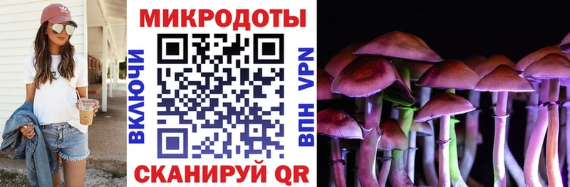 Псилоцибиновые грибы GOLDEN TEACHER Купить закладки Бакал
