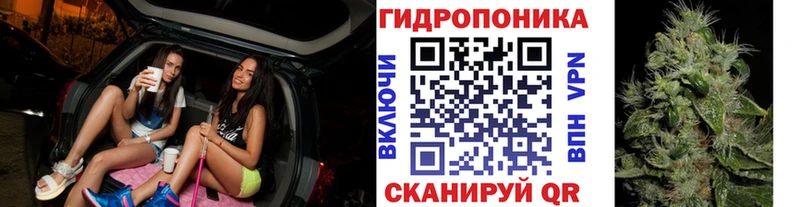 Купить закладки  Бакал  Шишки марихуана марихуана 